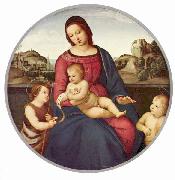 RAFFAELLO Sanzio Madonna Terranuova, Szene: Maria mit Christuskind und zwei Heiligen, Tondo oil on canvas